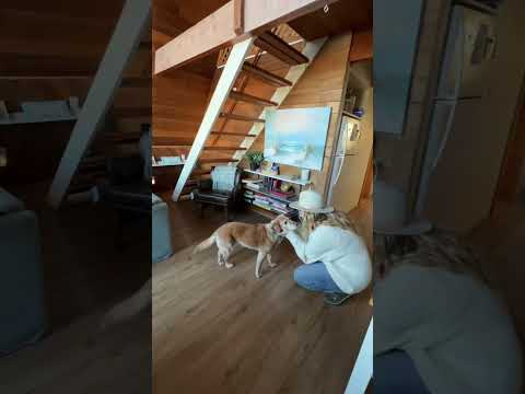 Your Information To Tax In Portugal For Expats